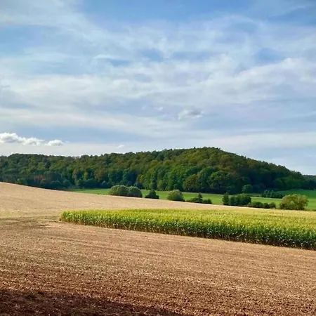 In Lderntwistetal-oberwaro With Sauna * Ober-Waroldern