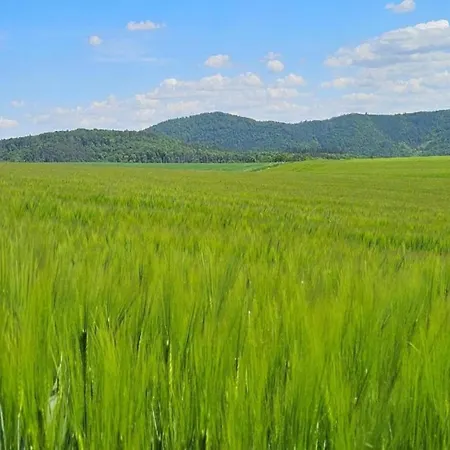 In Lderntwistetal-oberwaro With Sauna Tatil Evi