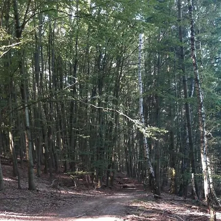 In Lderntwistetal-oberwaro With Sauna * Ober-Waroldern