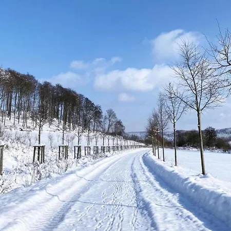 In Lderntwistetal-oberwaro With Sauna Ober-Waroldern