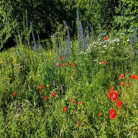 In Lderntwistetal-oberwaro With Sauna * Ober-Waroldern