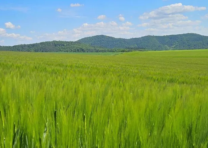 In Lderntwistetal-oberwaro With Sauna Dom wakacyjny