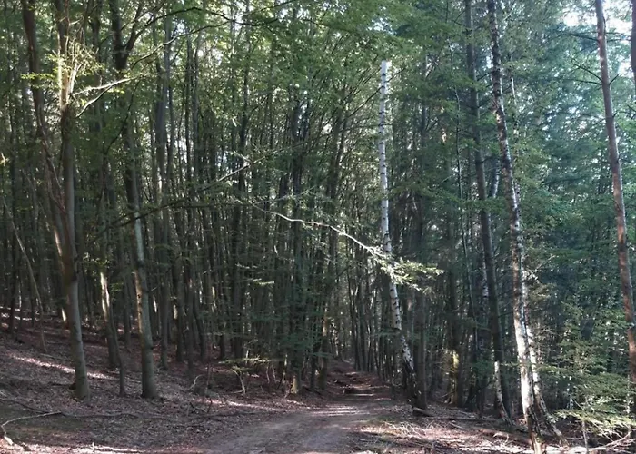 In Lderntwistetal-oberwaro With Sauna * Ober-Waroldern