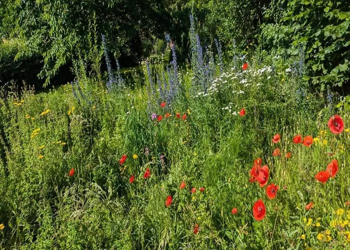 In Lderntwistetal-oberwaro With Sauna * Ober-Waroldern